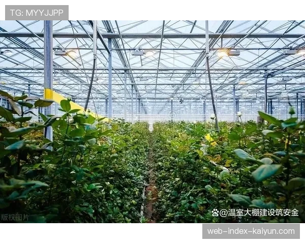 智能温室管理助力全年热带赛事植物景观的可持续维护
